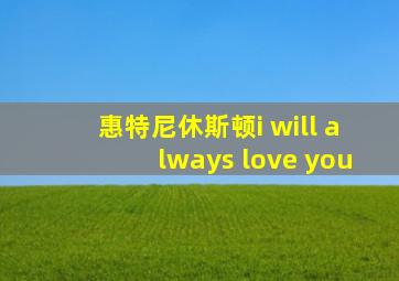 惠特尼休斯顿i will always love you